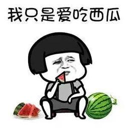 娱乐圈瓜吃啥意思,揭秘明星幕后故事与八卦传闻